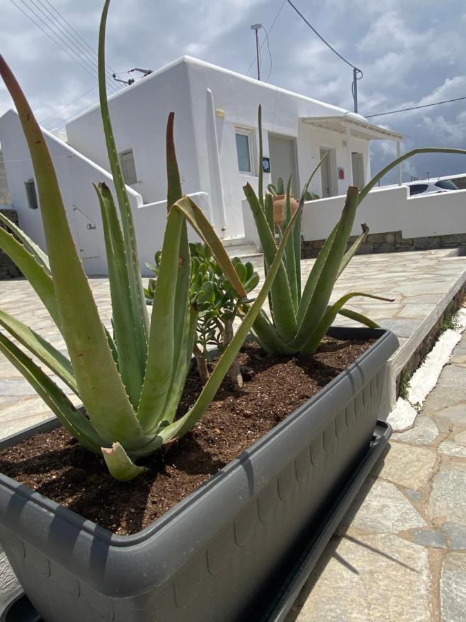 Sing And Blossom Casa vacanze Mykonos Town