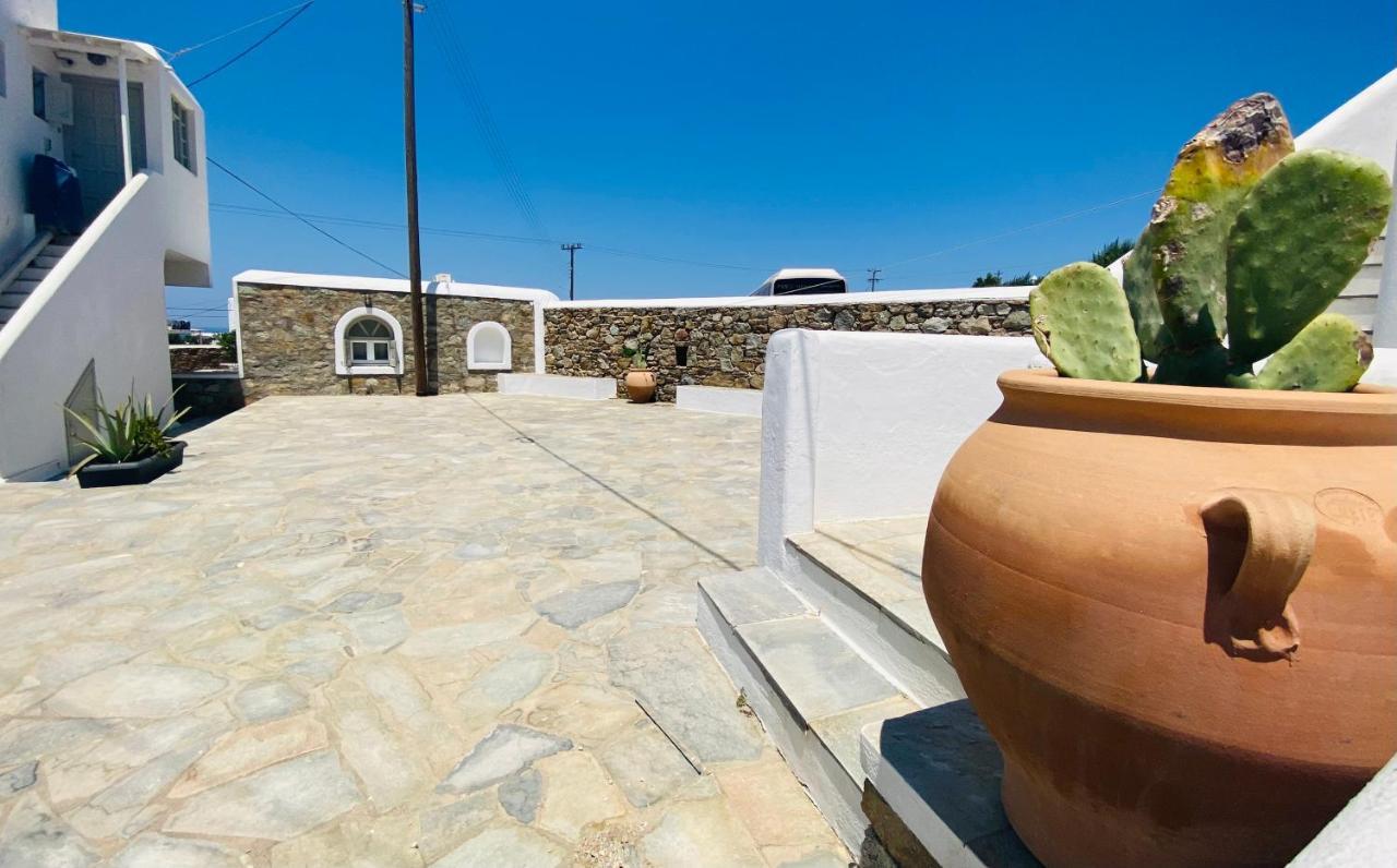 Tatil Evi Sing And Blossom